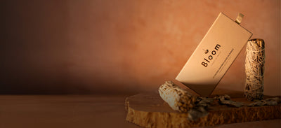 The Sampler hover image